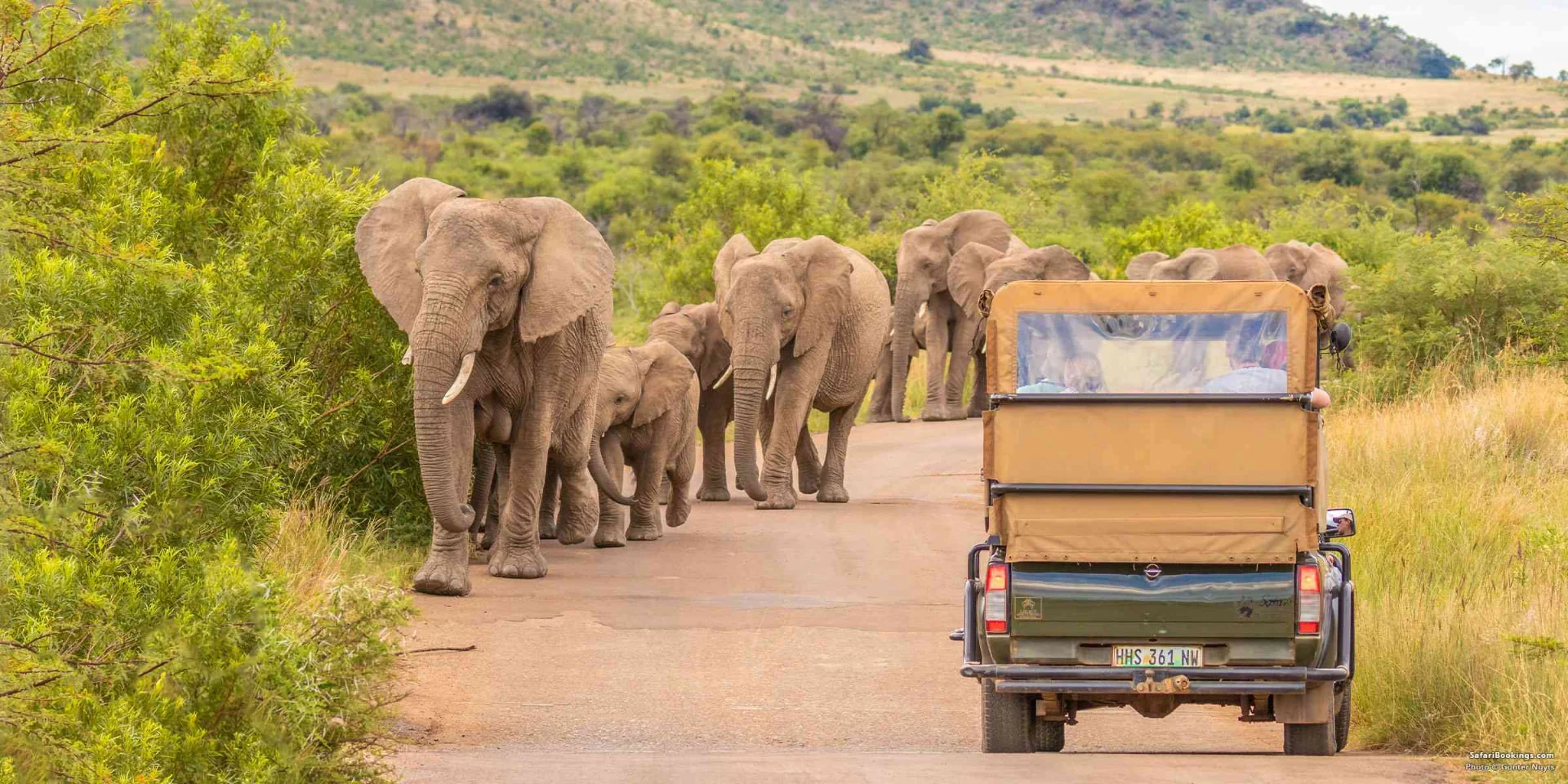 4 Countries Adventure - Okavango Safari