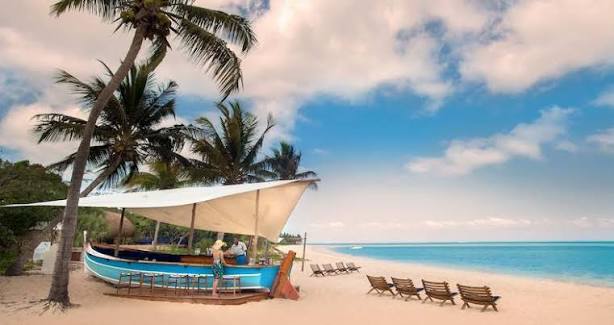 Mozambique Beach Escape - image 6