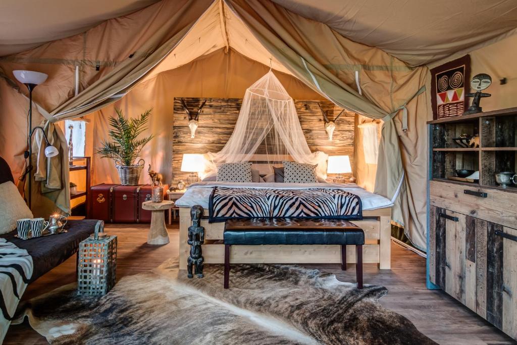Glamping Safari