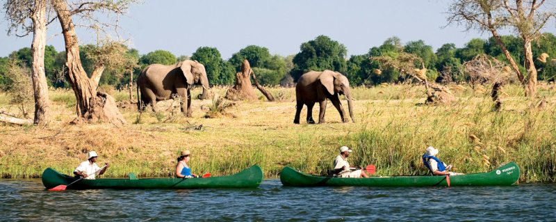 Zambia & Zimbabwe Victoria Falls Experience - image 7