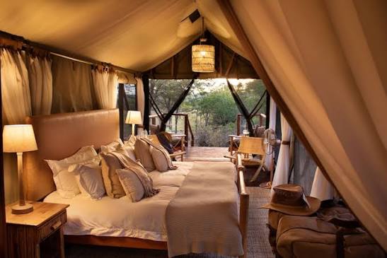 Luxury Tented Safari Camp - image 7