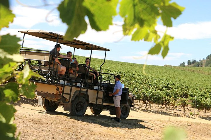 Cape Winelands Private Estate Escape