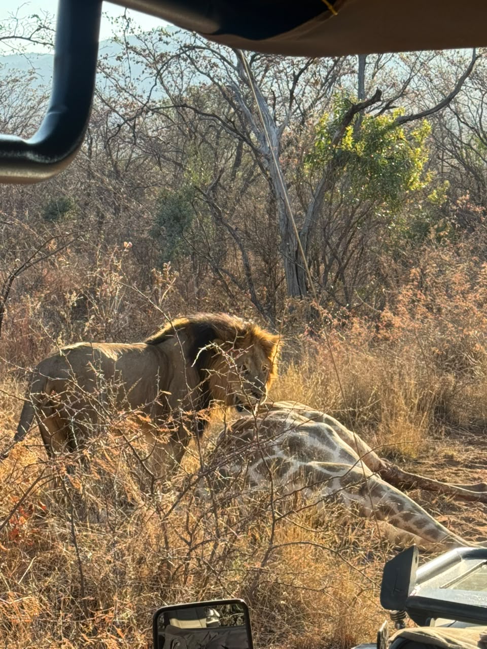 Kruger National Park Big Five Safari