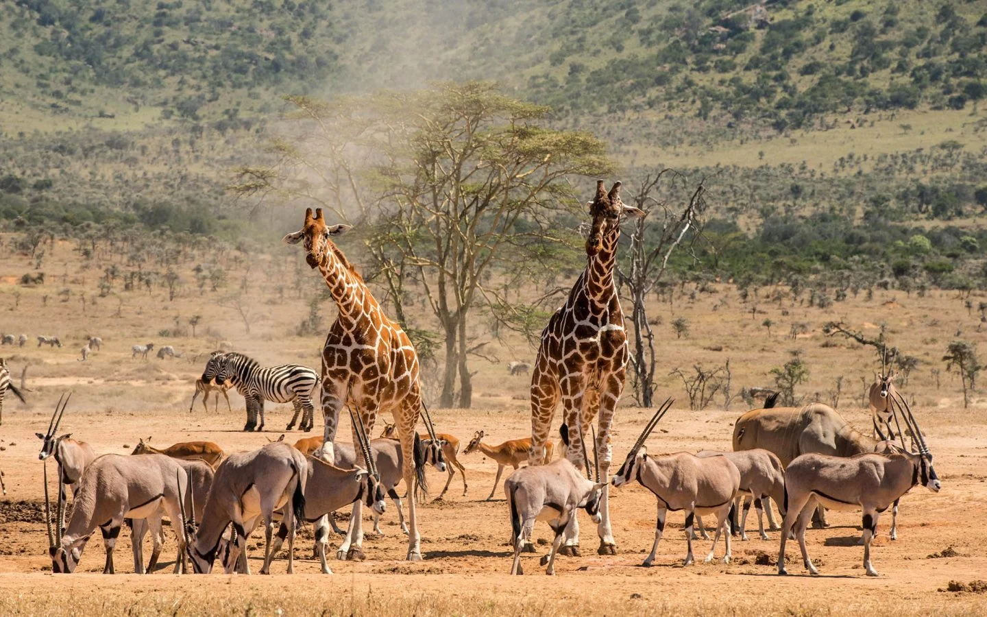 North West Heritage & Wildlife Experience - image 7
