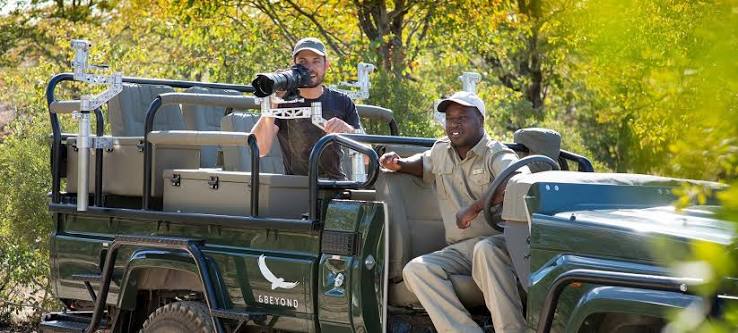 Photographic Safari - image 3