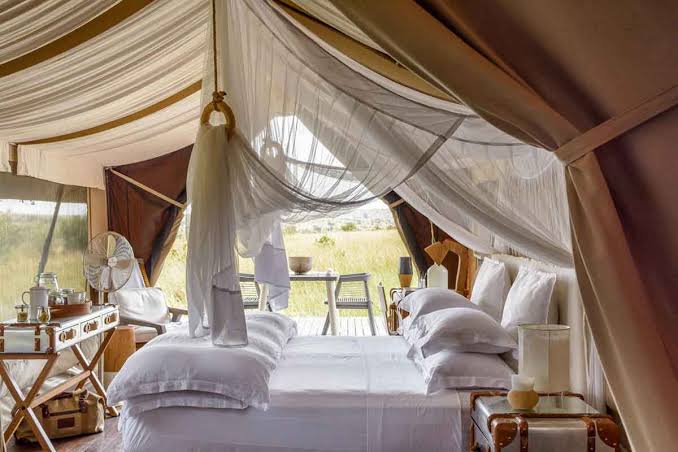 Luxury Tented Safari Camp - image 6