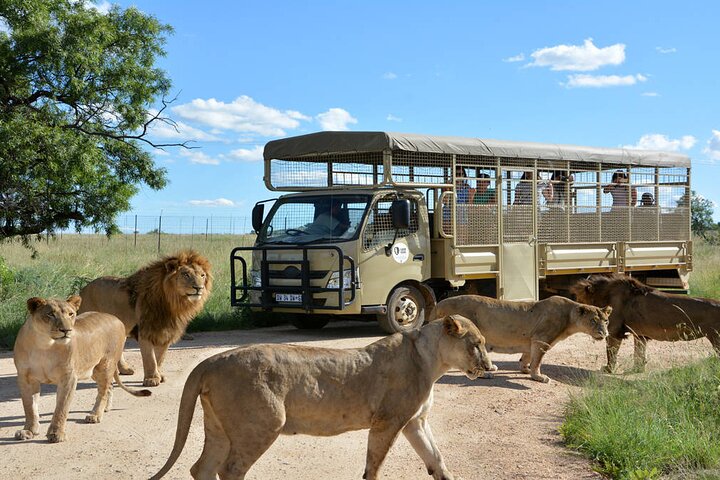 North West Heritage & Wildlife Experience
