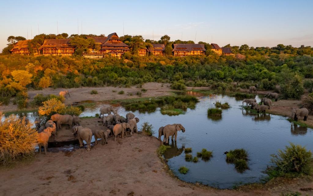 21-Day Cape Town to Victoria Falls Safari & Adventure - image 7