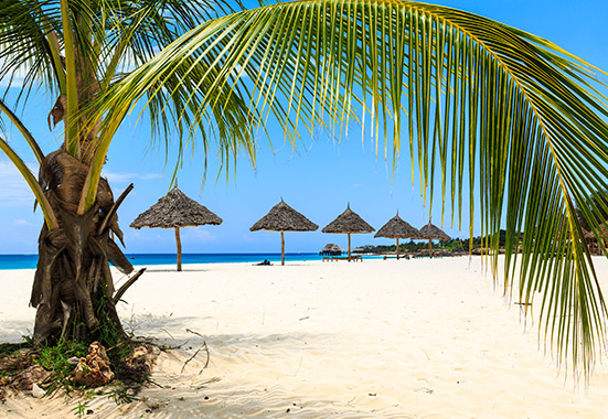 Mozambique Beach Escape - image 8