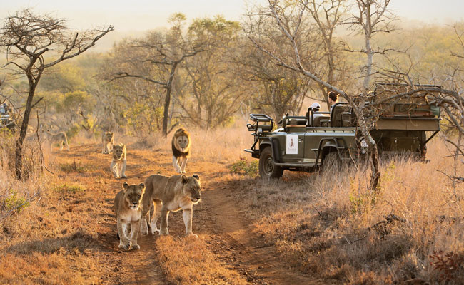 4 Countries Adventure - Okavango Safari - image 5