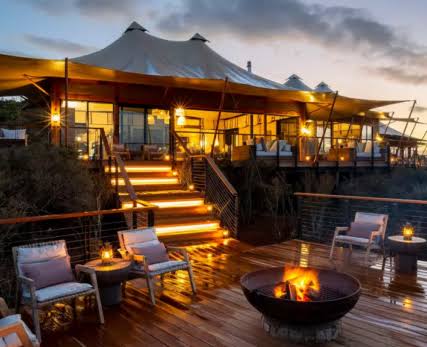Luxury Tented Safari Camp - image 2