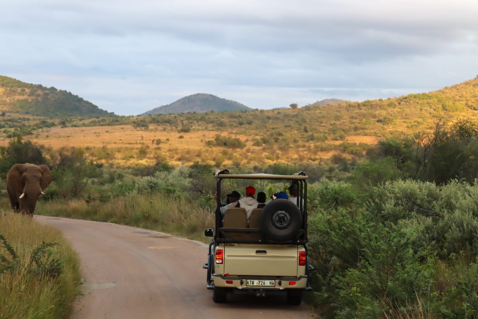 Bush Camping Safari Under the Stars - image 2