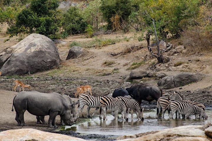 North West Heritage & Wildlife Experience - image 2