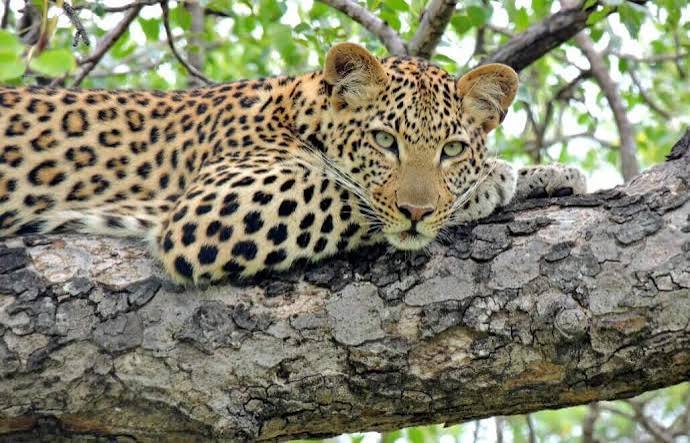 4 Countries Adventure - Okavango Safari - image 2