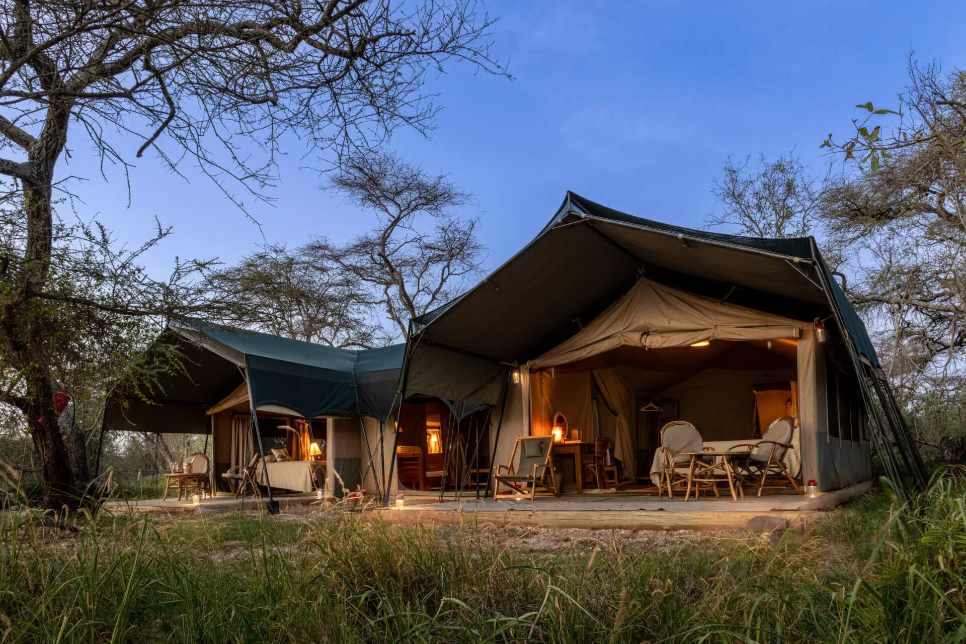 Family Safari Camp - image 3