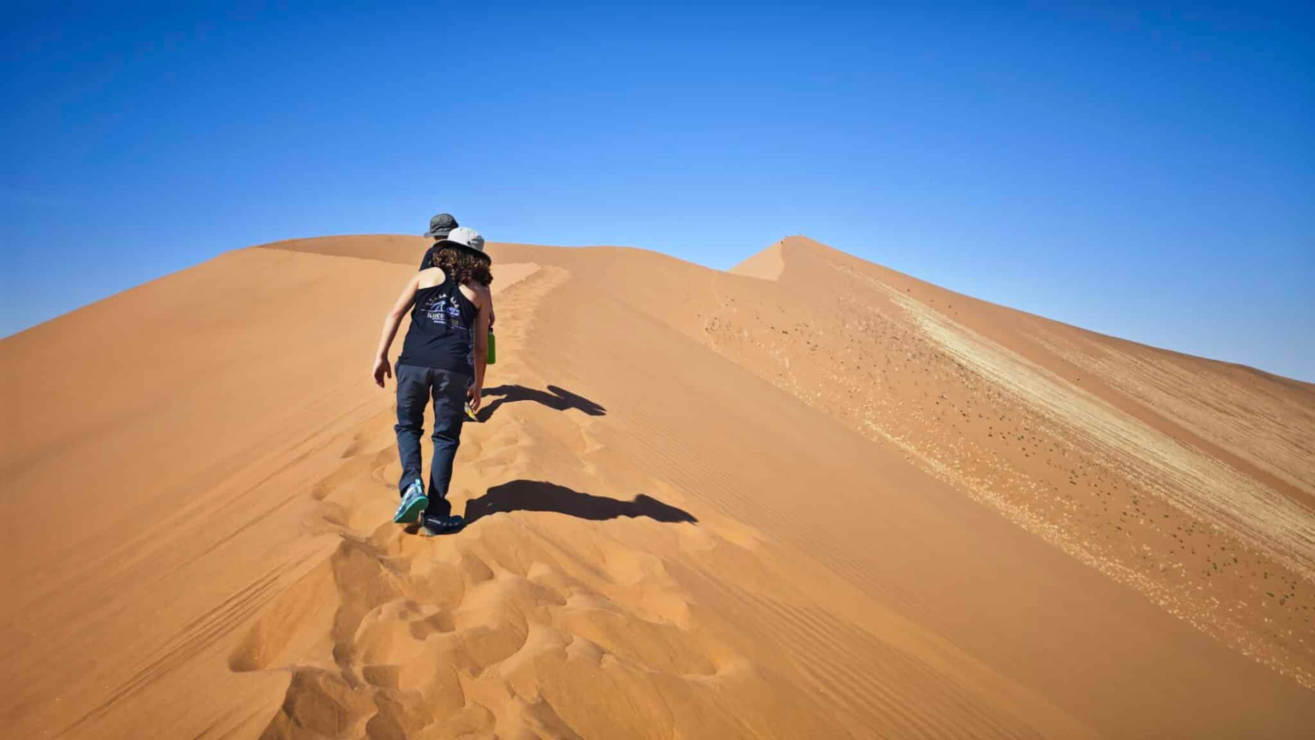 Namibia Desert Adventure - image 2