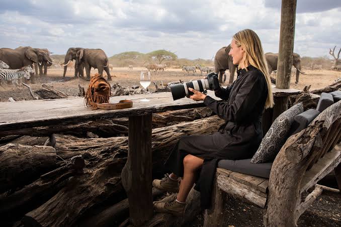 Photographic Safari - image 2