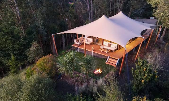 Luxury Tented Safari Camp - image 5