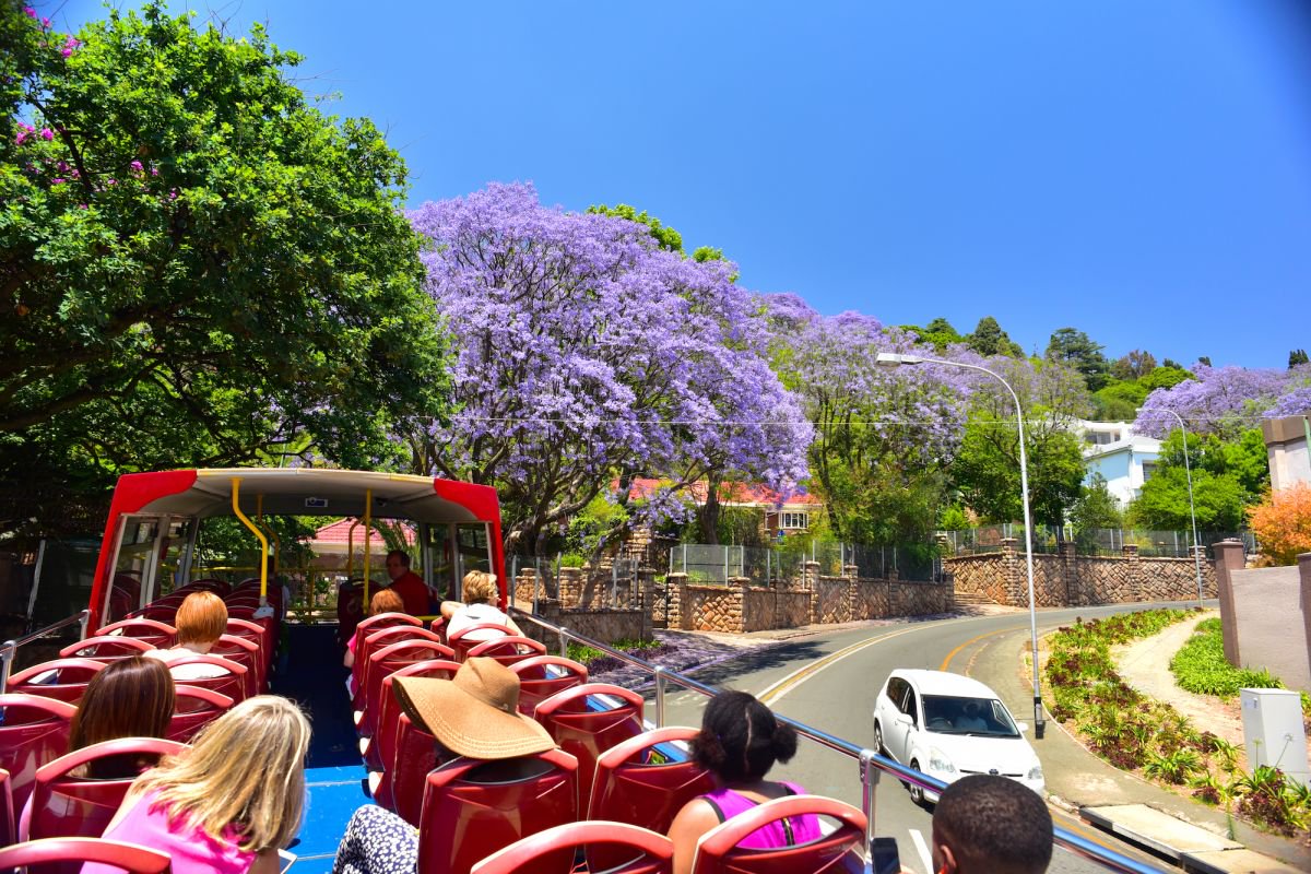 Gauteng City & Culture Explorer