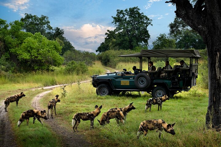 Zambia & Zimbabwe Victoria Falls Experience - image 8