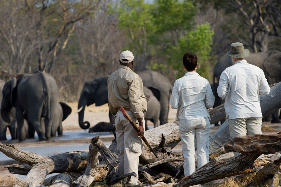 Zambia & Zimbabwe Victoria Falls Experience - image 5
